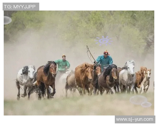 内蒙古卫视频道全新节目上线探索草原文化与自然之美